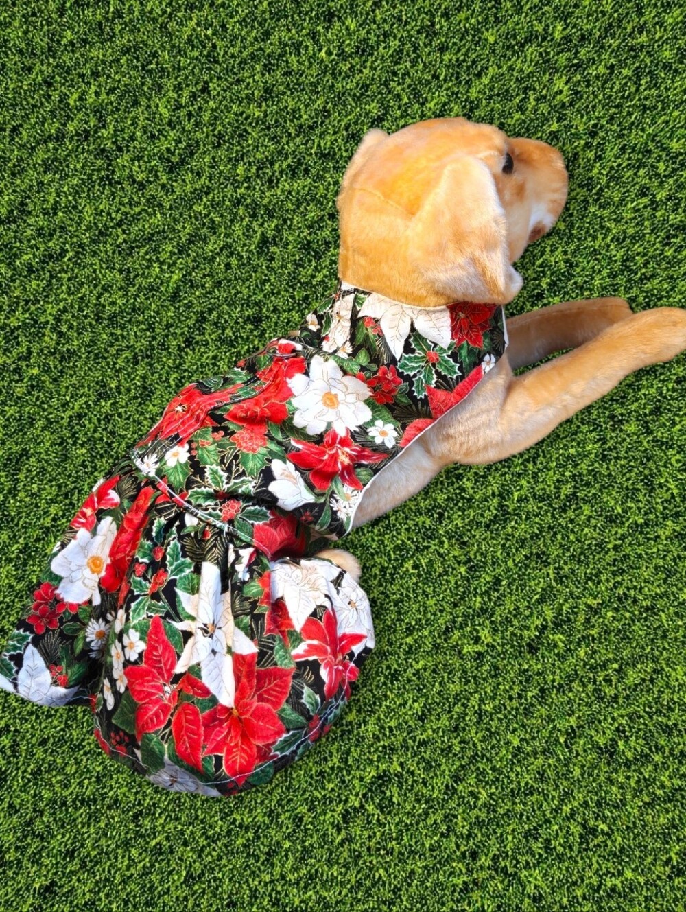 COZYPETZ Christmas Poinsettia Floral Dog Dress